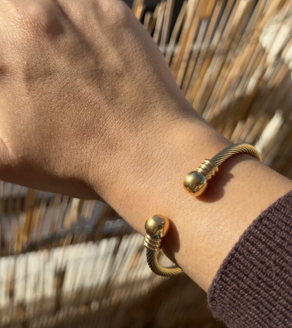 Bold and Gold - Image 5