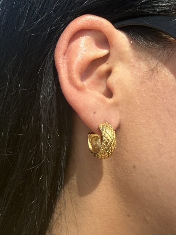 Snake Hoops